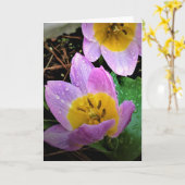 Lilac Wonder Tulip, carte (Fleur jaune)