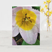 Lilac Wonder Tulip, carte (Fleur jaune)
