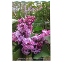 Lilacs-ALLE LILACS!  fotokalender