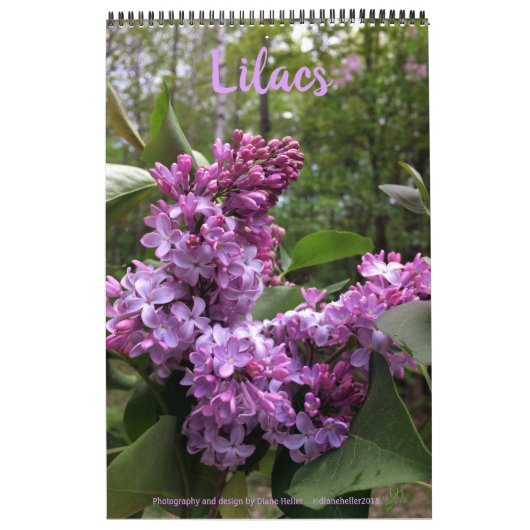 Lilacs-ALLE LILACS!  fotokalender Kalender (Hoes)