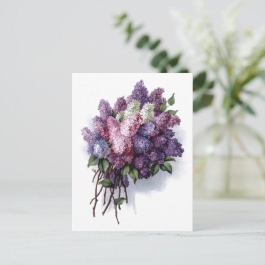  Lilacs Briefkaart (Staand voorkant)