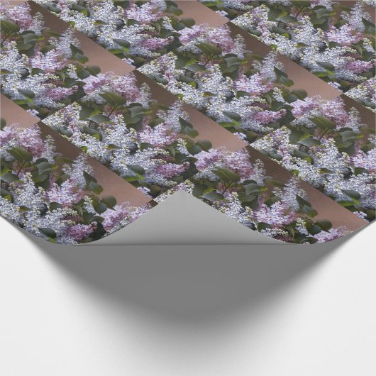 Lilacs Cadeaupapier (Hoek)