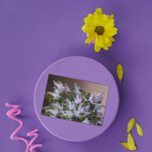 Lilacs Dank je Bedankkaart