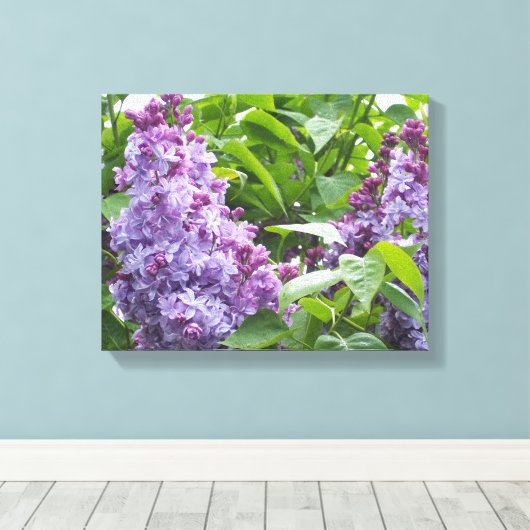 Lilacs d'art en toile (Insitu (Plancher de Bois))
