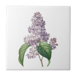lilacs florale keramische tegel tegeltje