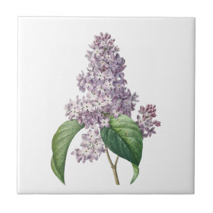  lilacs florale keramische tegel tegeltje