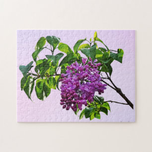 Lilacs gaat net open legpuzzel