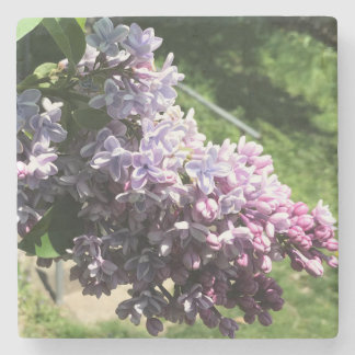 Lilacs in Family Park Stenen Onderzetter