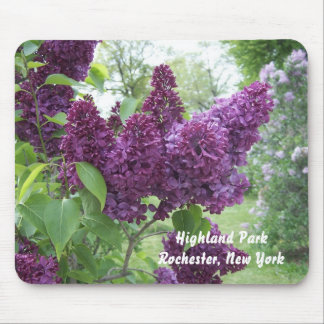 Lilacs in Highland Park Muismat