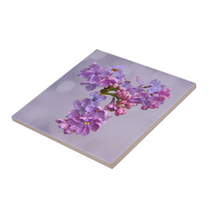 Lilacs in Springtime Tegeltje