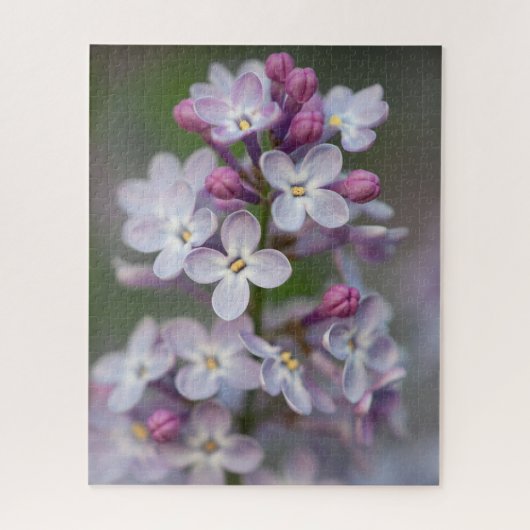 Lilacs Jigzaag Puzzle Legpuzzel (Verticaal)