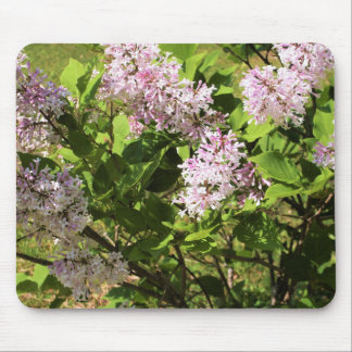 Lilacs Muismat