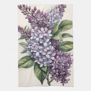 Lilacs Paarse Lila Struik Illustratie Theedoek