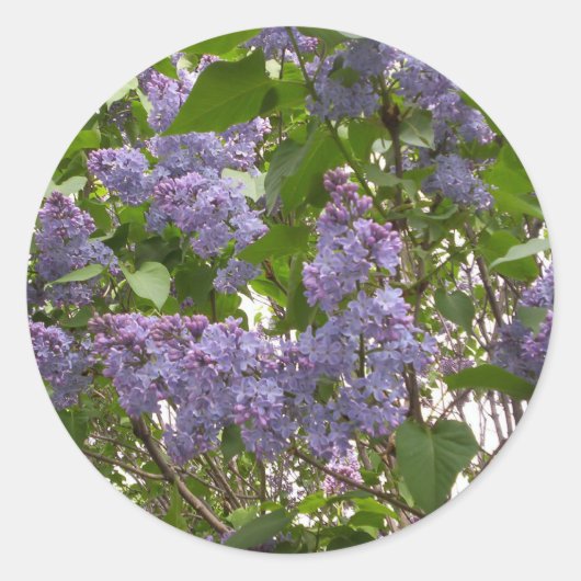 Lilacs-Stickers Ronde Sticker (Voorkant)