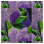 Lilacs Stof (Close Up)