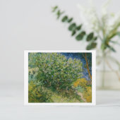 Lilacs, Vincent van Gogh Briefkaart (Staand voorkant)