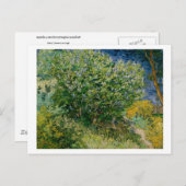Lilacs, Vincent van Gogh Briefkaart (Voorkant / Achterkant)
