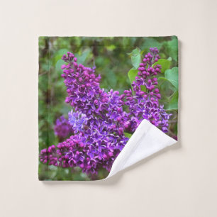 Lilacs violets le jour du printemps