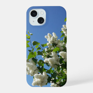 Lilas commun, arbre à fleurs de lilas blanc