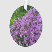 Lilas violet romantique élégant violet photo flora (devant)