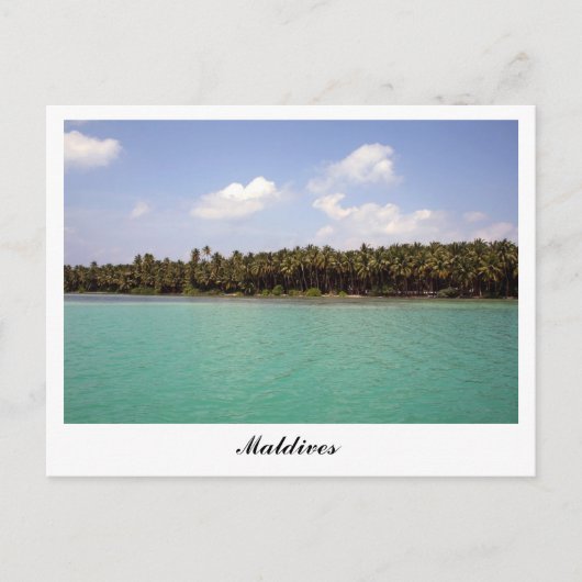 L'île aux Maldives Carte postale (Devant)