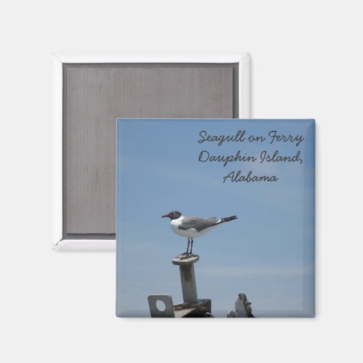 L'île de Dauphin, Aimant de l'Alabama (Recto/Verso)