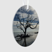 L'île de Jekyll Géorgie (devant)