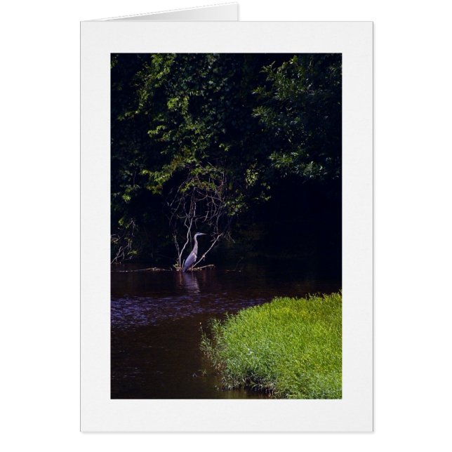 L'île de Percival, Lynchburg Virginie (Devant)