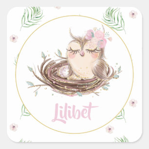 Lilibet Owl Baby Girl Shower Vierkante Sticker