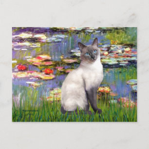 Lilies 2 - blauwpunt Siamees Briefkaart