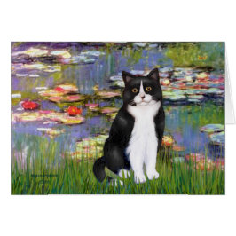 Lilies 2 - Zwarte en witte kat