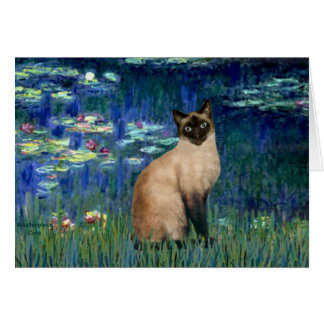 Lilies 5 - Chat siamois seal point