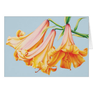 Lilies fine art Aquarelle crayon carte quotidienne