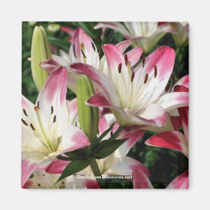 Lilies glimlachen Fotografie Magnet Magneet