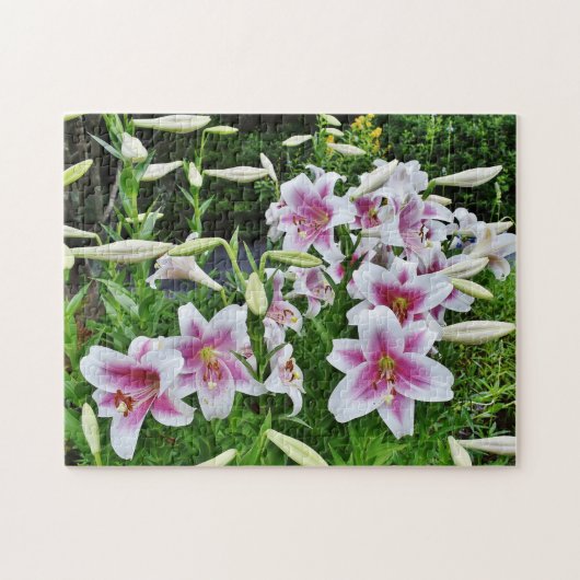 Lilies in het veld legpuzzel (Horizontaal)