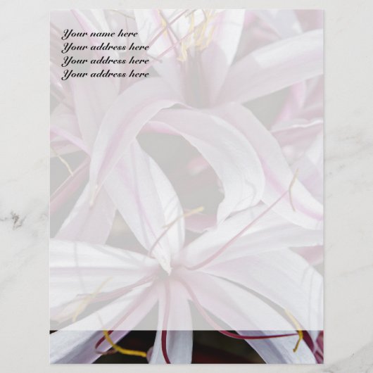 Lilies Letterhead Design Custom Briefhoofd (Voorkant)