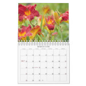 Lilies lustres #1 Calendrier (Mar 2026)