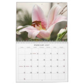 Lilies lustres #2 Calendrier (Feb 2027)