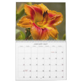 Lilies lustres #2 Calendrier (Jan 2027)