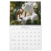 Lilies lustres #2 Calendrier (Mar 2027)
