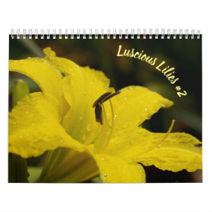 Lilies lustres #2 Calendrier