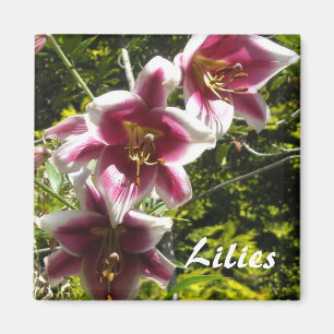 Lilies Magneet