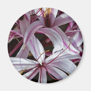 Lilies Magneet