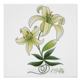 Lilies Perfect Poster