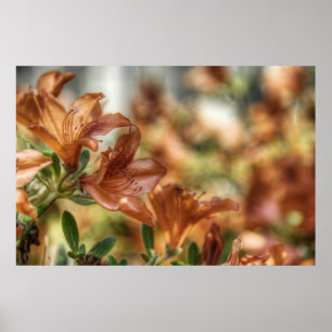 Lilies Poster