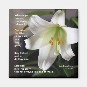 Lilies van het veld - Magnet Magneet
