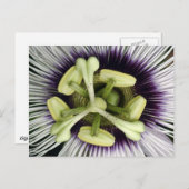 Lilikoi Flower Briefkaart (Voorkant / Achterkant)