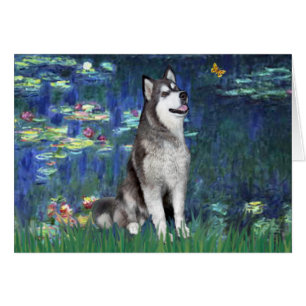 Lililes #5 - Malamute en Alaska