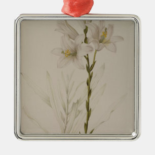 Lilium Candidum uit "Les Liliacees", 1807 Metalen Ornament