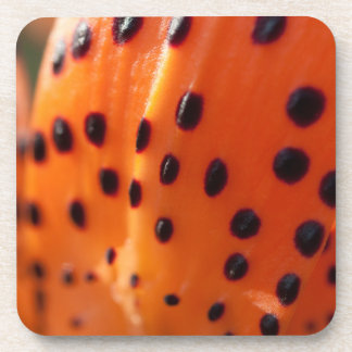 Lilium superbum, Turk's-pet Lily Bier Onderzetter